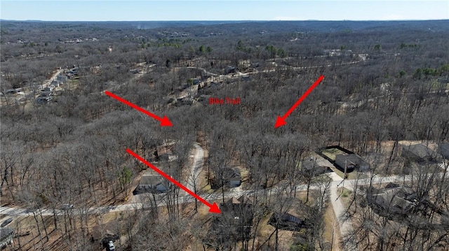 bird's eye view with a forest view