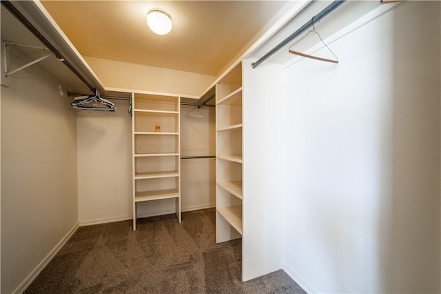 spacious closet featuring carpet flooring