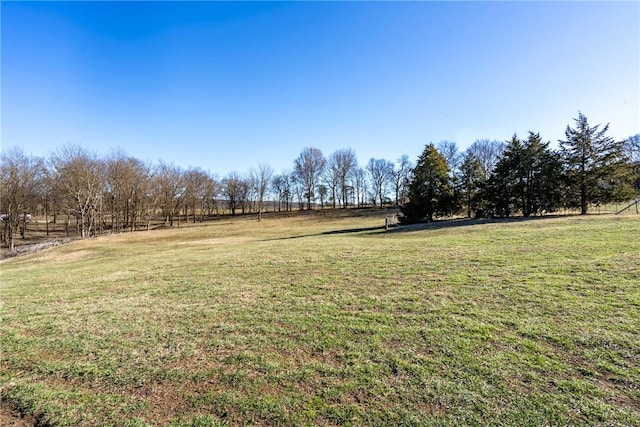 view of yard with a rural view