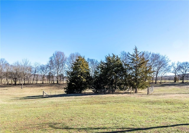 view of yard featuring a rural view