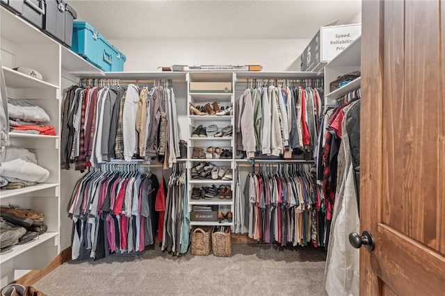 walk in closet featuring carpet floors