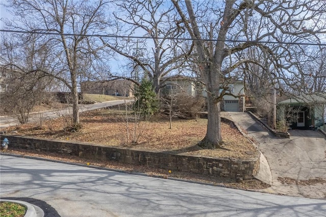 view of yard featuring a garage and driveway