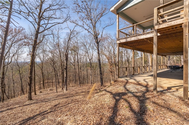 view of yard featuring a patio area and driveway