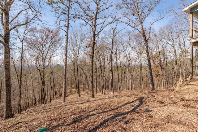 view of nature featuring a wooded view