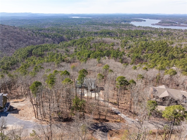 birds eye view of property with a water view and a view of trees