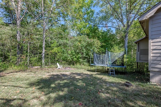 view of yard with a trampoline