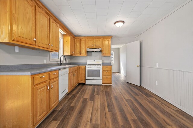 15 White St, Eureka Springs, AR 72632 - kitchen featuring white appliances, dark wood-style floors, a wainscoted wall, under cabinet range hood, and a sink
