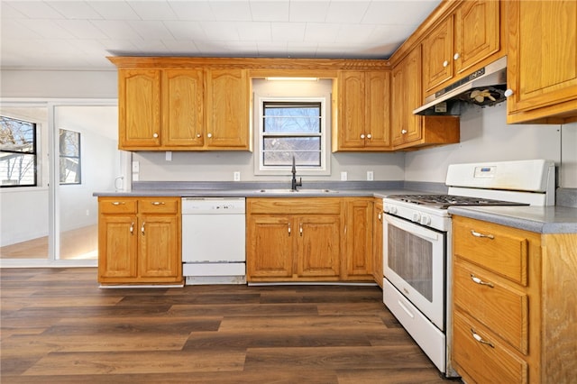 15 White St, Eureka Springs, AR 72632 - kitchen with dark wood finished floors, white appliances, a sink, and under cabinet range hood