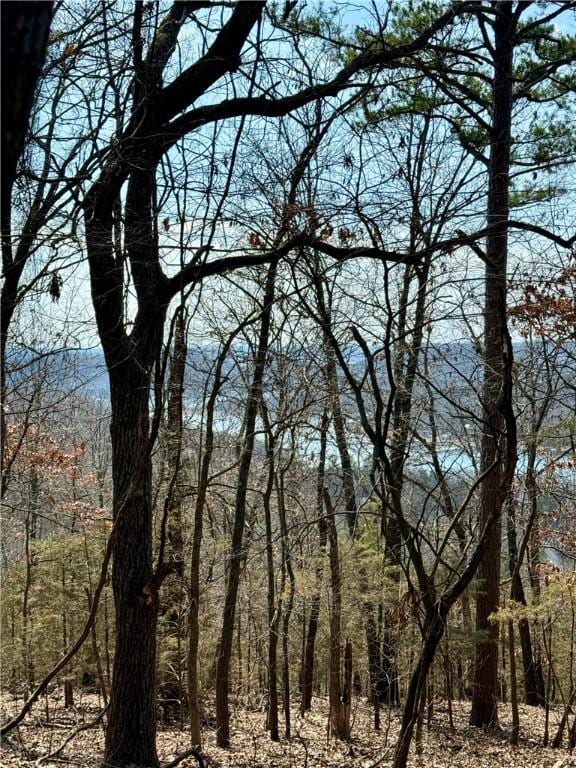 LOT64 Rocky Ridge Pl, Garfield, AR 72732