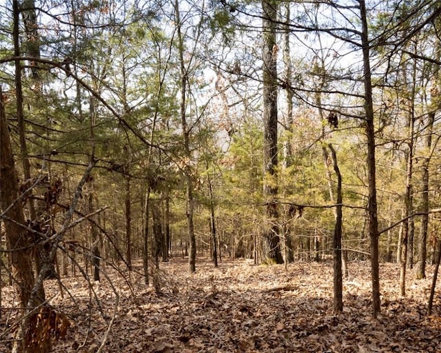 Listing photo 3 for LOT64 Rocky Ridge Pl, Garfield AR 72732