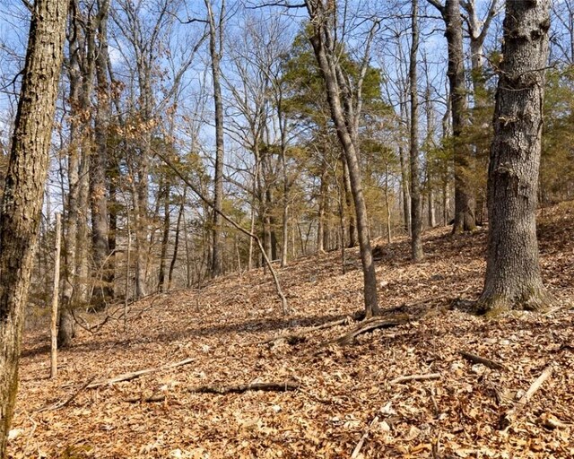 LOT64 Rocky Ridge Pl, Garfield, AR 72732