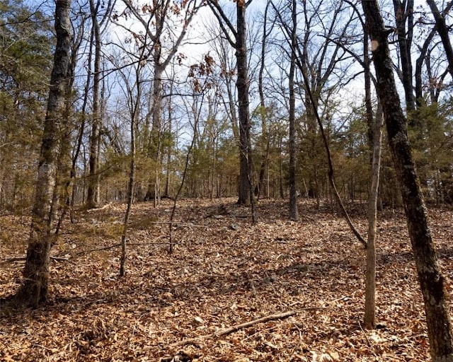 LOT64 Rocky Ridge Pl, Garfield, AR 72732