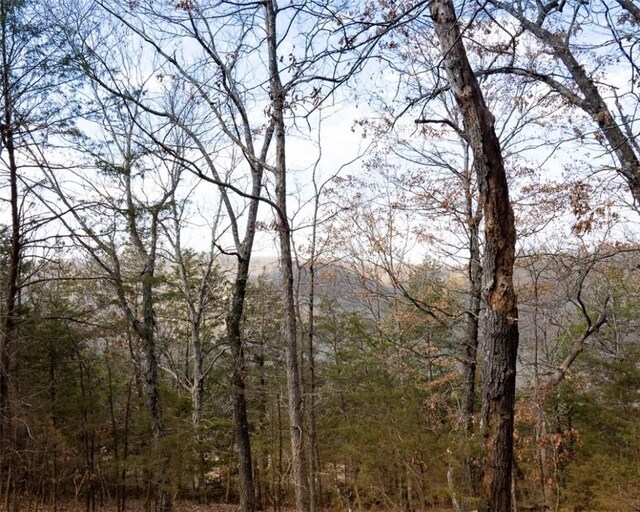 LOT64 Rocky Ridge Pl, Garfield, AR 72732