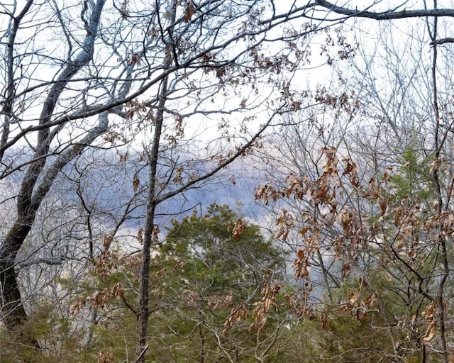 LOT64 Rocky Ridge Pl, Garfield, AR 72732