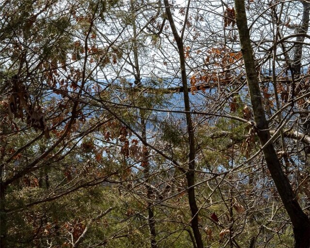LOT64 Rocky Ridge Pl, Garfield, AR 72732