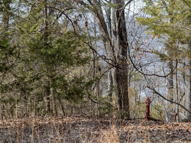 LOT64 Rocky Ridge Pl, Garfield, AR 72732