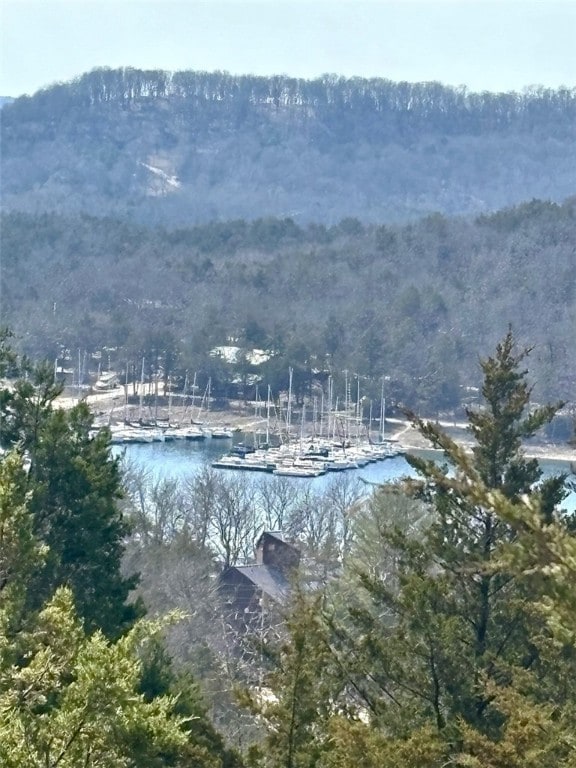 LOT64 Rocky Ridge Pl, Garfield, AR 72732