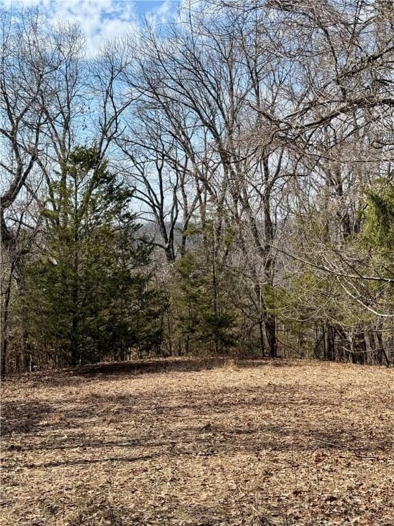LOT64 Rocky Ridge Pl, Garfield, AR 72732