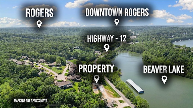 16103 E Ar 12th Hwy, Rogers, AR 72756 - bird's eye view of a forest and a large body of water