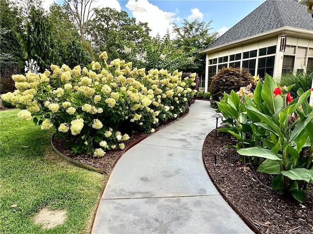 view of home's community featuring a lawn