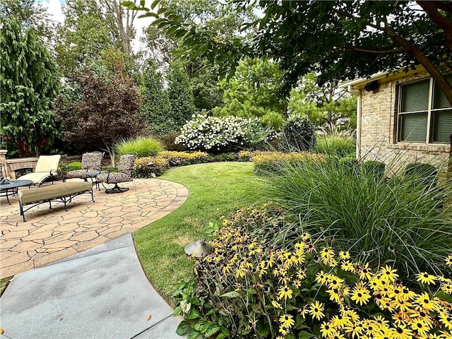 view of yard with a patio