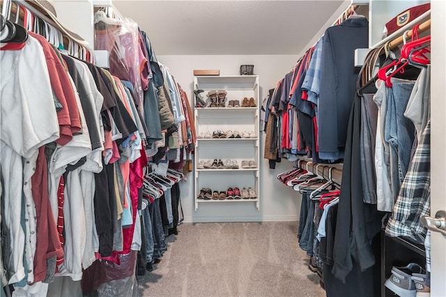 spacious closet featuring carpet