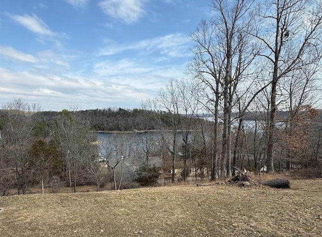 property view of water featuring a forest view