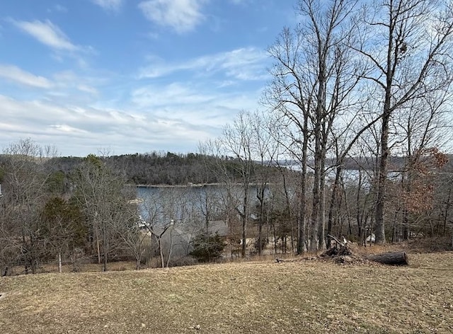 20564 Dogwood Rd, Rogers, AR 72756 - water view featuring a forest