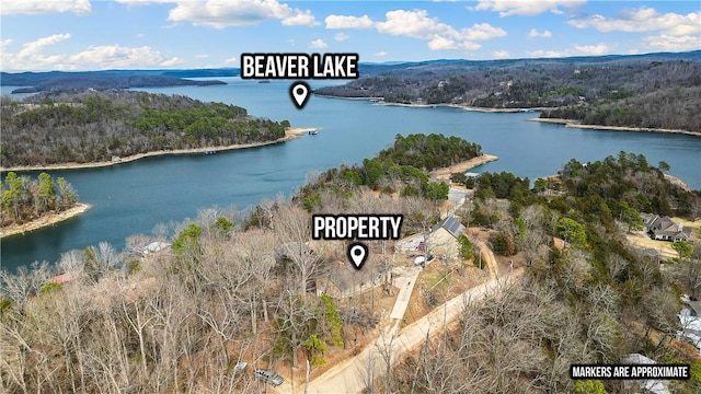 birds eye view of property featuring a water view and a wooded view