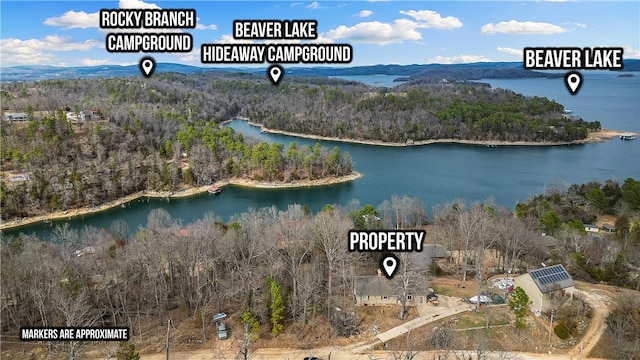 bird's eye view featuring a water view and a wooded view