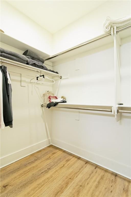 walk in closet with light wood-style flooring