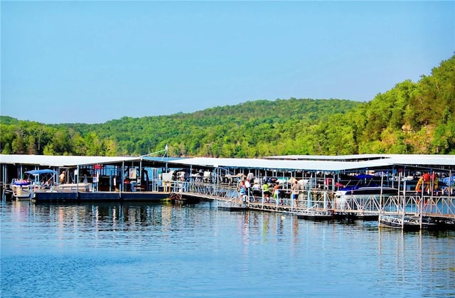 view of dock with a water view and a wooded view