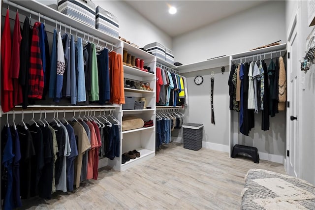 spacious closet featuring wood finished floors