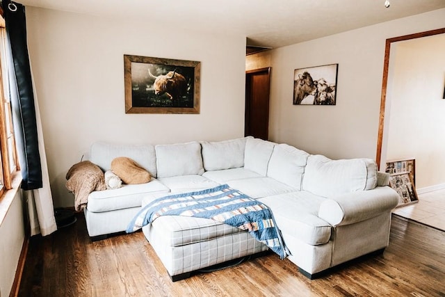 living area with wood finished floors