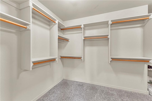 115 NE Lake Forest Ln, Bentonville, AR 72712 - walk in closet featuring carpet