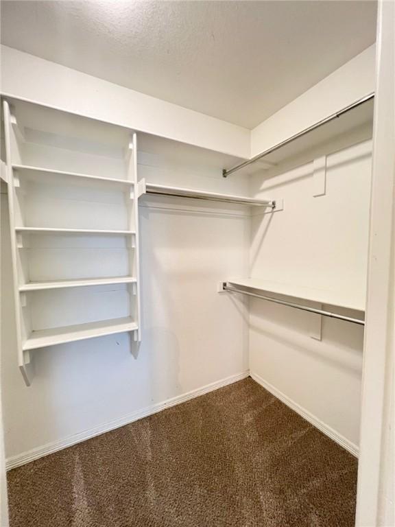 spacious closet with dark colored carpet