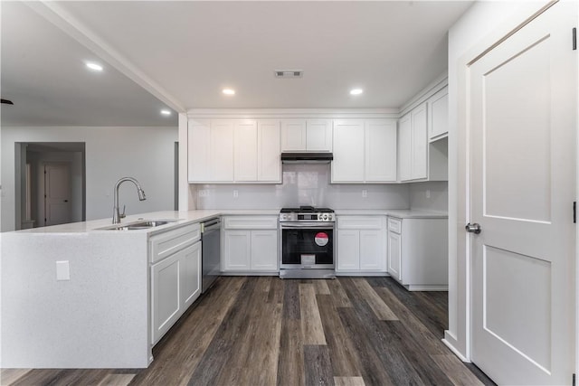 kitchen featuring under cabinet range hood, a peninsula, a sink, white cabinets, and appliances with stainless steel finishes