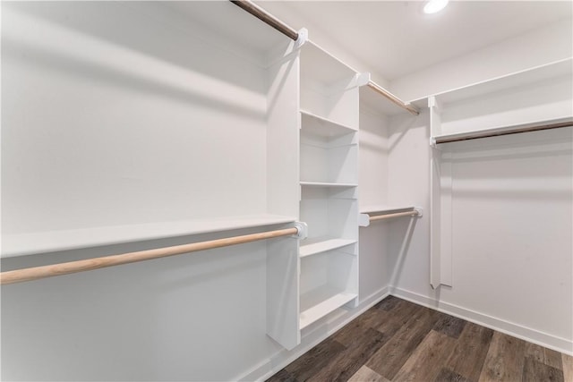 spacious closet featuring dark wood finished floors