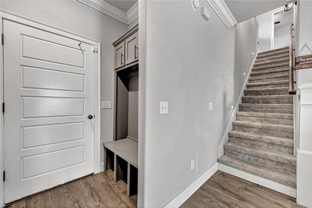 mudroom with crown molding, wood finished floors, and baseboards