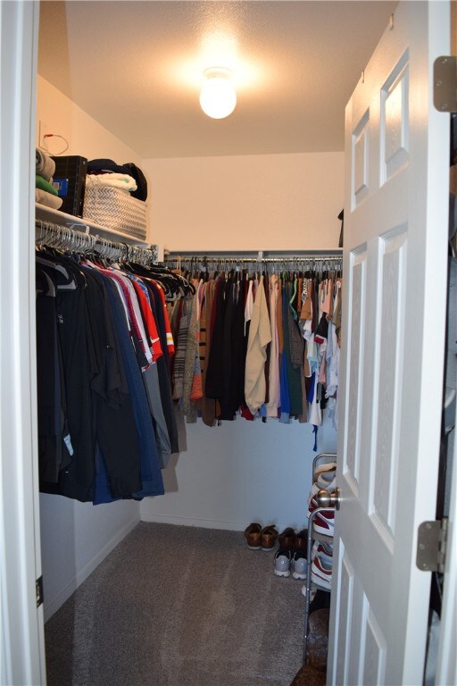 spacious closet with carpet floors