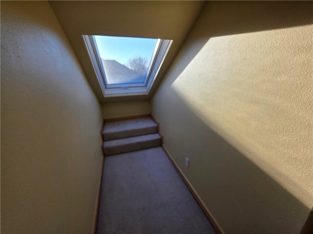 interior space with carpet floors, a skylight, and baseboards