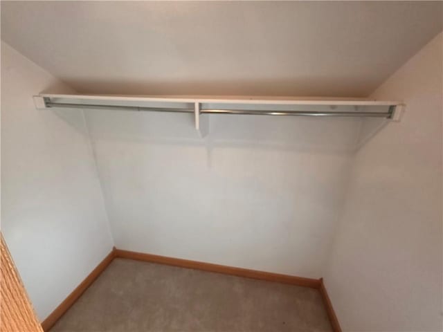 walk in closet featuring light carpet