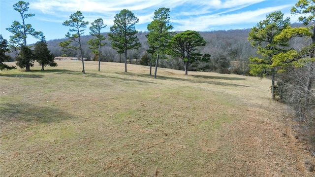 Listing photo 3 for 008.86ACRES Hubbard Rd, West Fork AR 72774