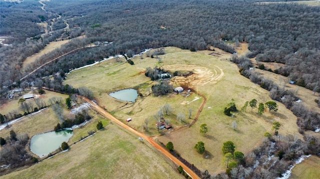 drone / aerial view