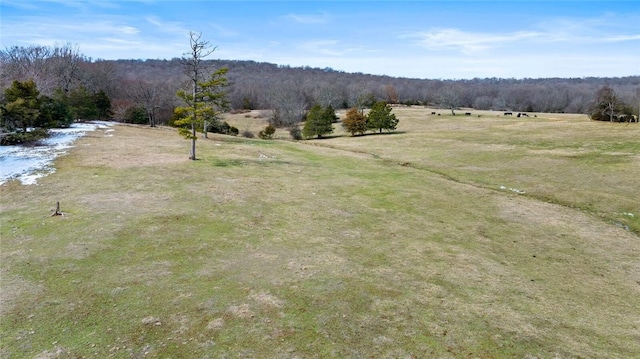 view of yard with a wooded view and a rural view