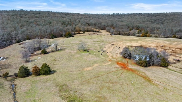 aerial view featuring a wooded view