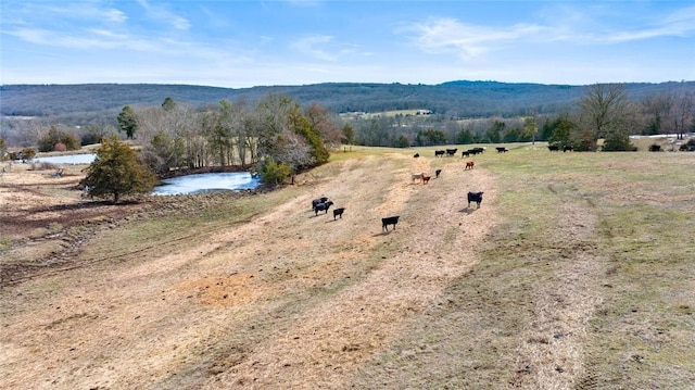 aerial view with a rural view
