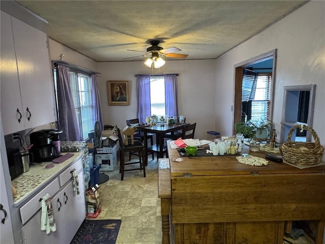 dining space featuring a textured ceiling, plenty of natural light, and a ceiling fan