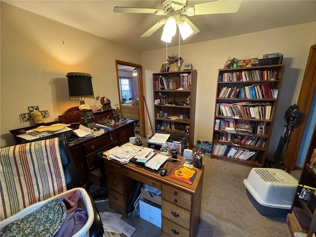 1003 Berry St, Harrison, AR 72601 - photo 8
