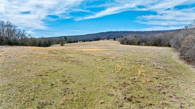 view of mountain feature with a forest view and a rural view